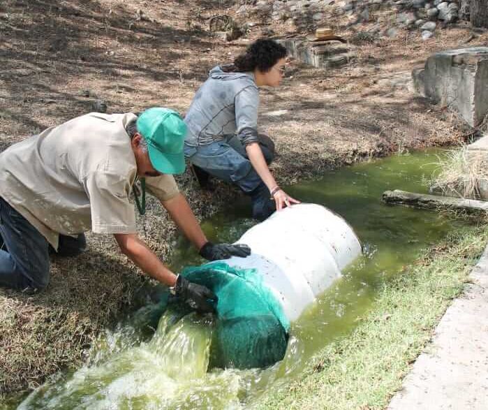 REALIZAN LIMPIEZA DEL LAGO DEL PARQUE DE LAS ESCULTURAS