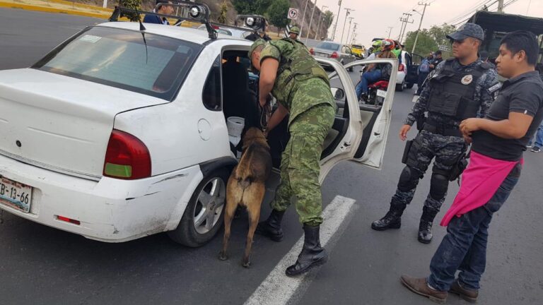 Alerta la SEDENA a la ciudadanía para no dejarse sorprender por pagina apócrifa que ofrece la comercialización de materiales, equipo u animales