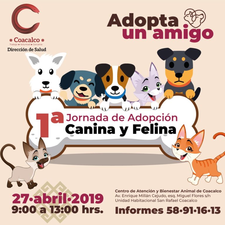 Del 2 al 31 de mayo se realizará el “Mes de la esterilización canina y felina” en el municipio de Coacalco