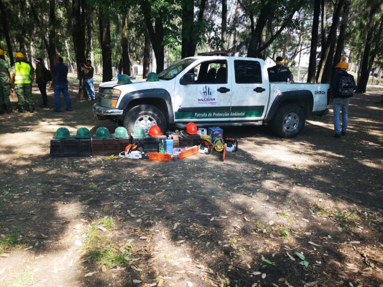 ProBosque llevará a cabo trabajos de saneamiento en el Parque Naucalli.