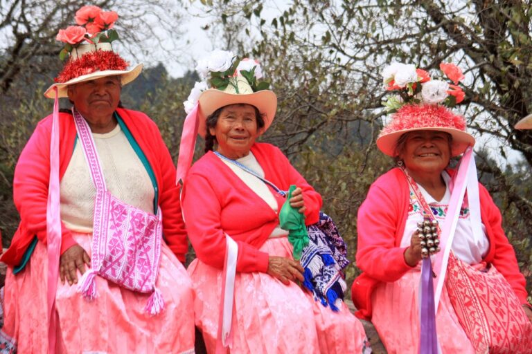 Edoméx acerca a las comunidades mazahua y otomí con cursos y talleres que promueven  su dialecto.