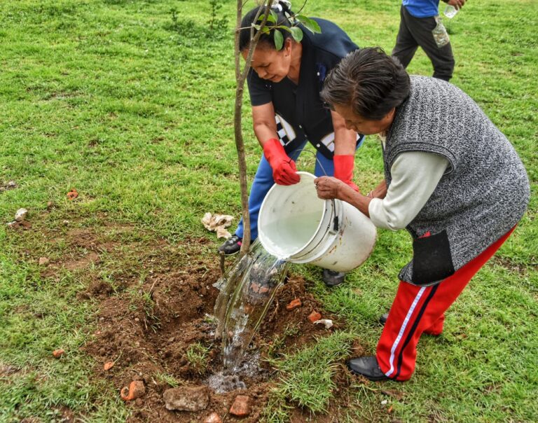 Para conmemorar el día del Árbol gobierno de Izcalli realizó una jornada de reforestación