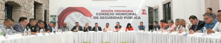 ConsejoMunicipal (3)