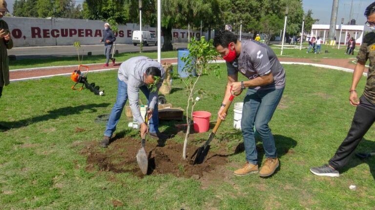 Reforestacion (4)