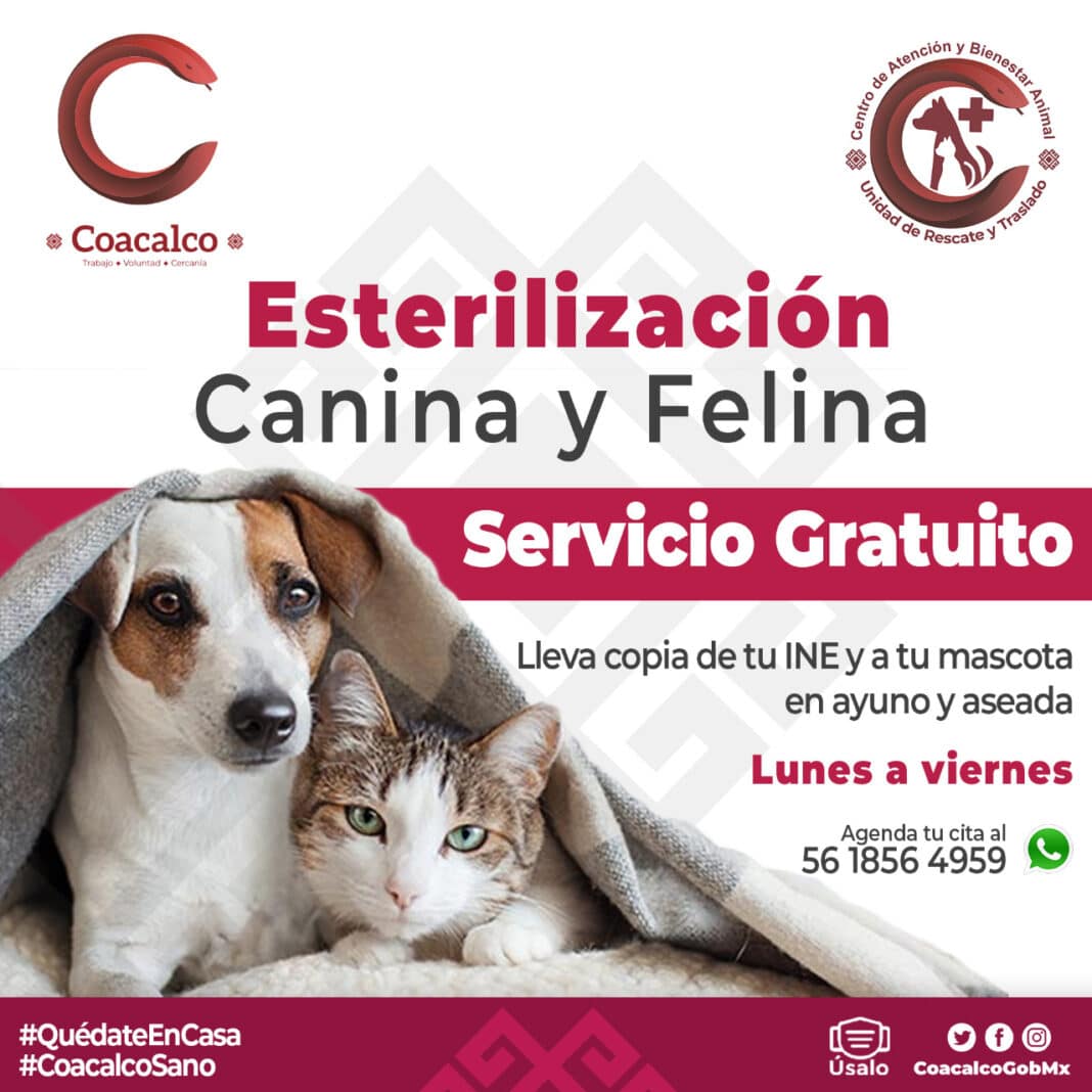 Esterilización