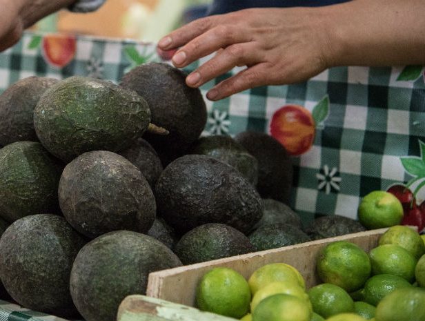 AGUACATE-