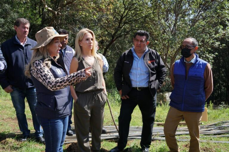 huixquilucan- centro de atención animal huixquilucan