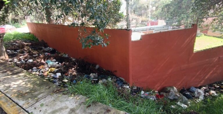 Imagen1 (1)