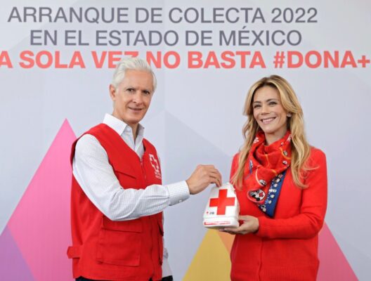 péndulo difem cruz roja