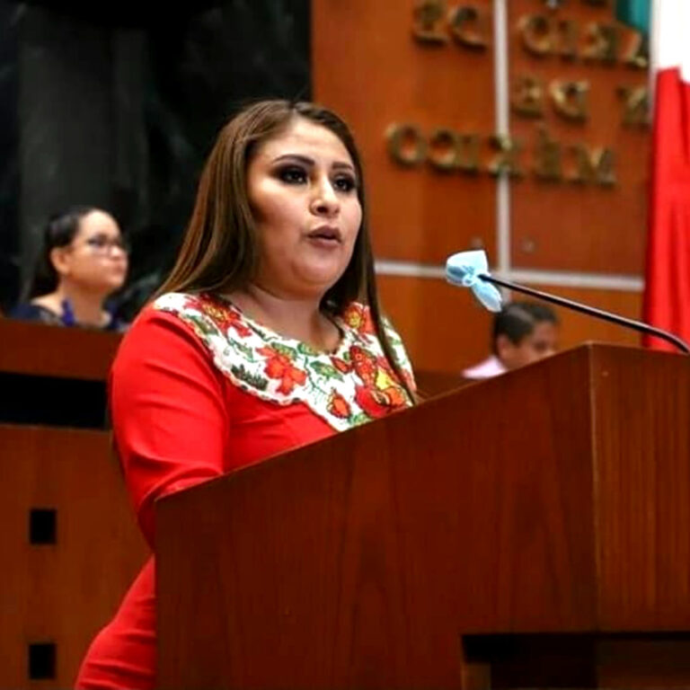 Guerrero diputada