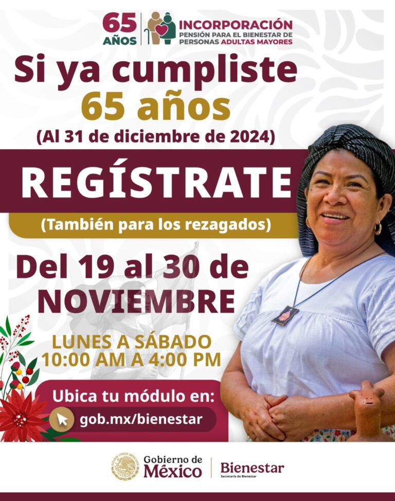 registro pensión 65 años péndulo