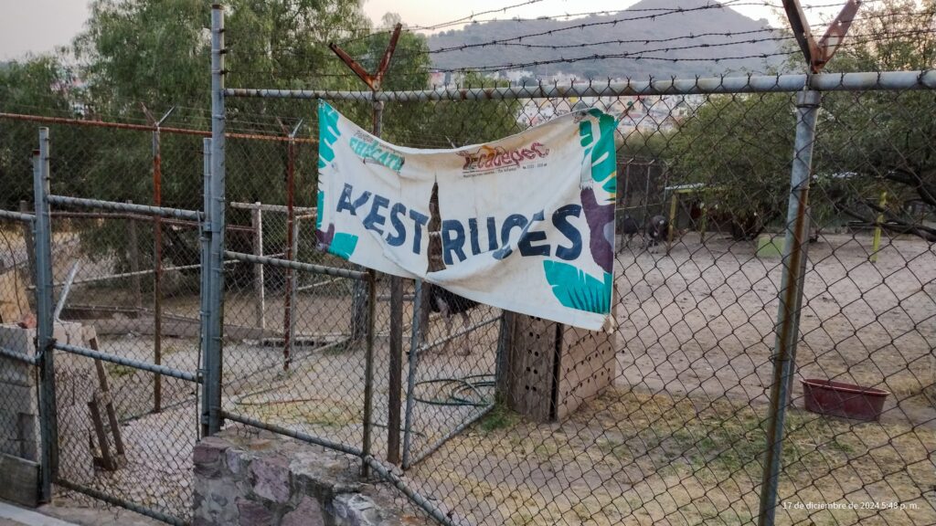 Gobierno de Ecatepec presenta denuncia ante la FGR por desaparición de 11 animales del Parque Ecológico Ehécatl