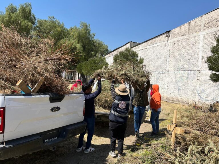 Programa Arboles Reciclaje