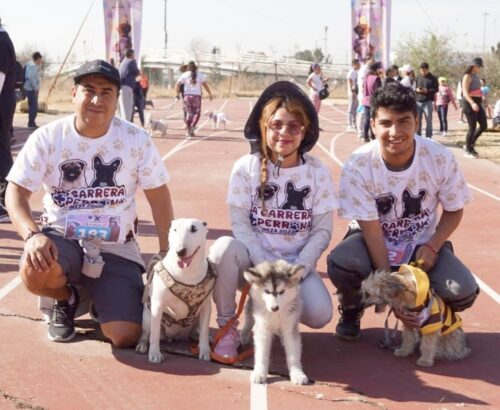 Carrera de perros en neza