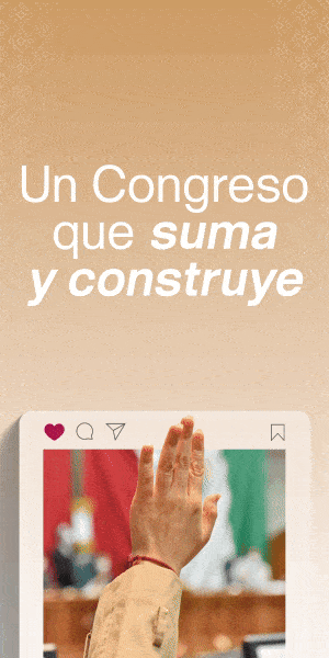 300x600 Mayo V4 (2)