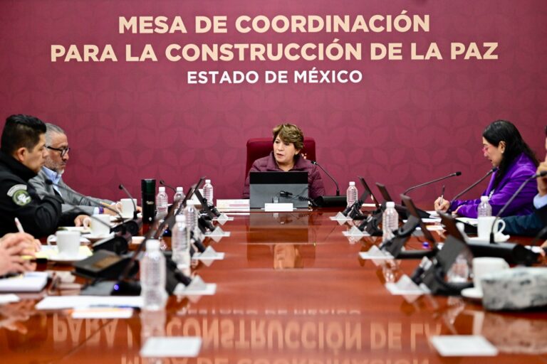 Edoméx Seguridad