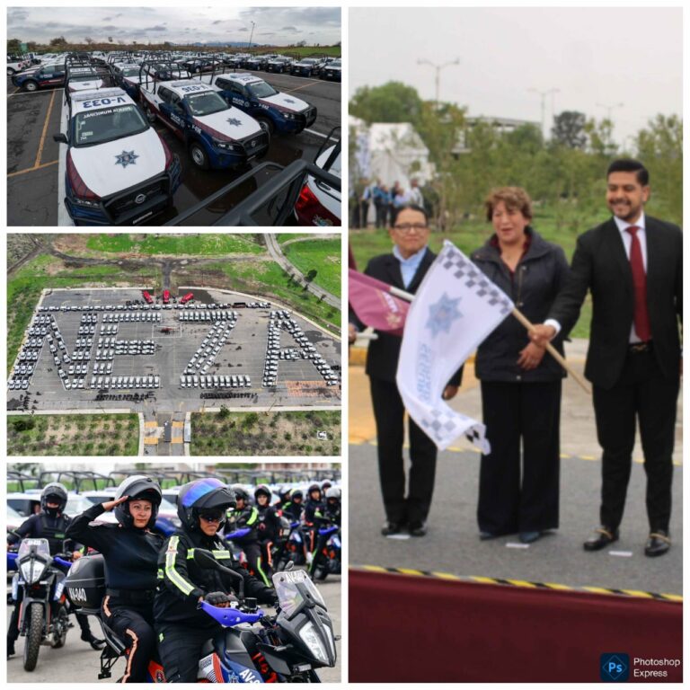 Seguridad Neza