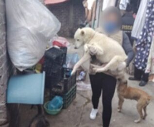 rescatan animales en Ecatepec