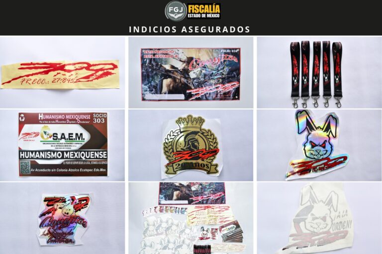 seguridad Edoméx