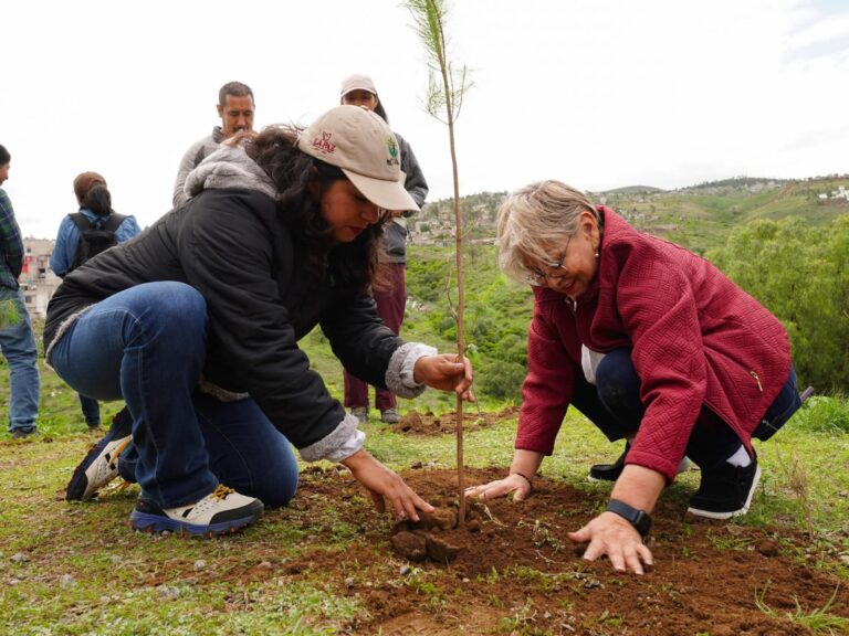 Reforestación en La Paz