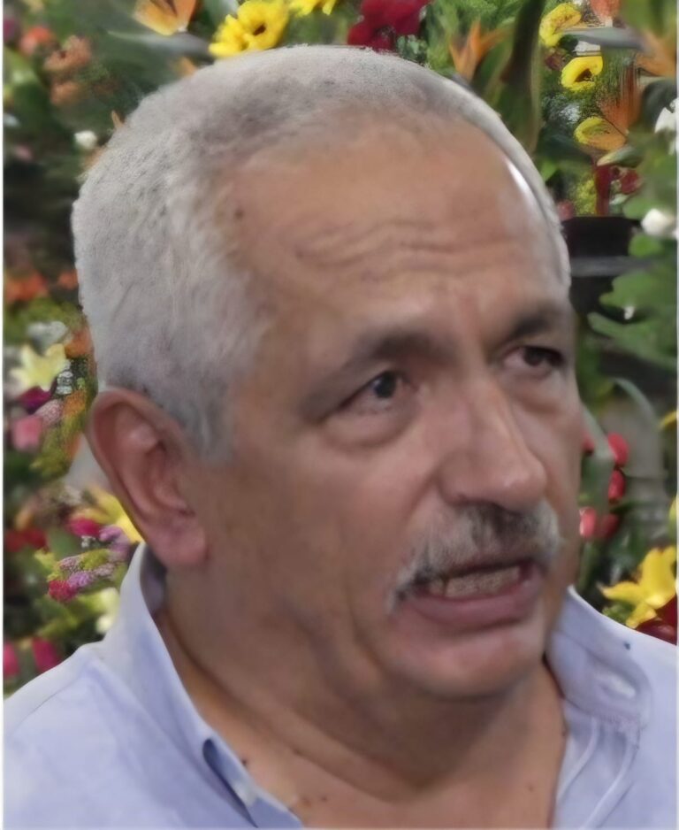 mercado de jamaica