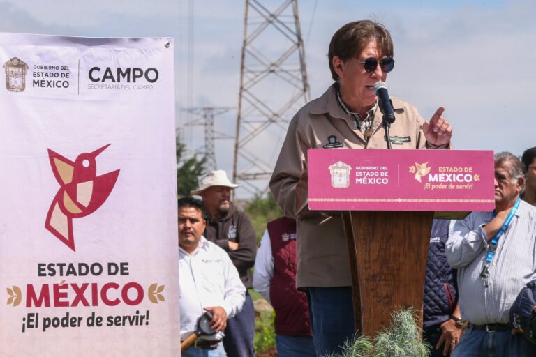 jornada de reforestación