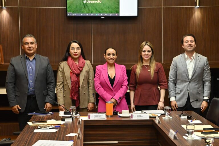 diputados