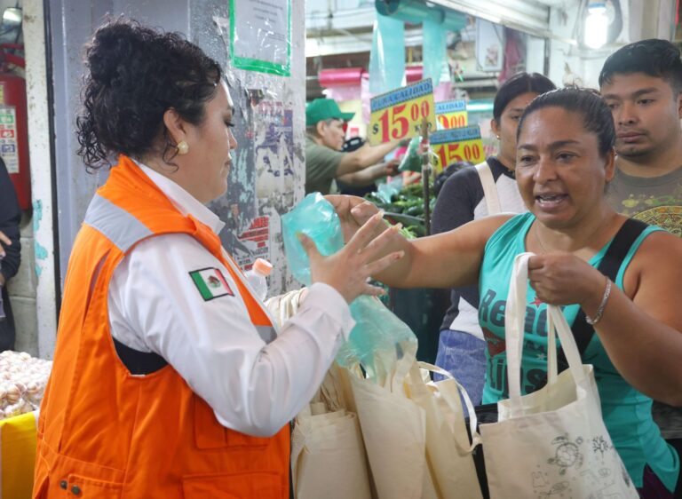 Sin bolsas de un solo uso en el Edoméx
