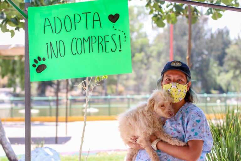 neza adpta no compres