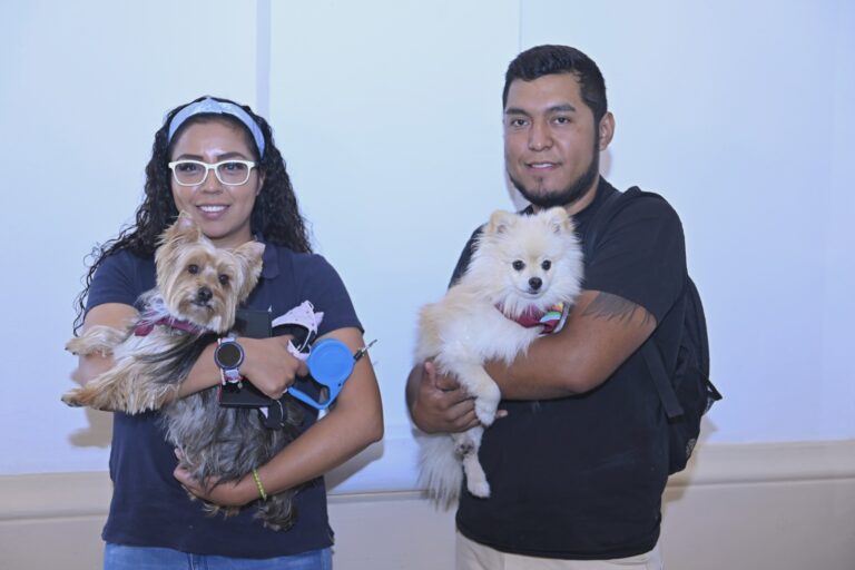 bienestar animal en Tlalnepantla