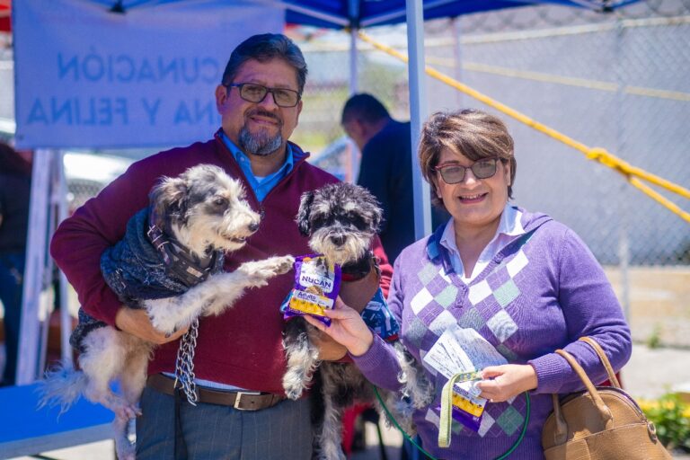 dia del perro y gato