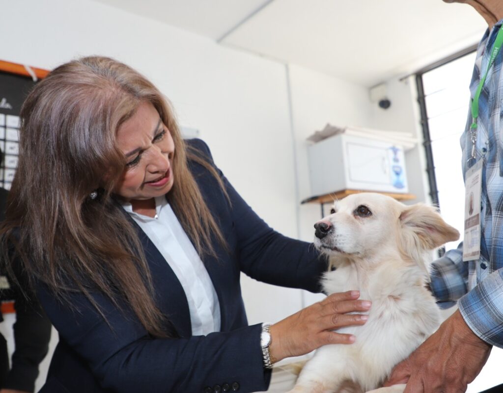 EN CUAUTITLÁN NO VAMOS A PERMITIR QUE CONTINÚE EL MALTRATO ANIMAL: JUANITA CARRILLO