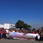 reforestación en La Paz