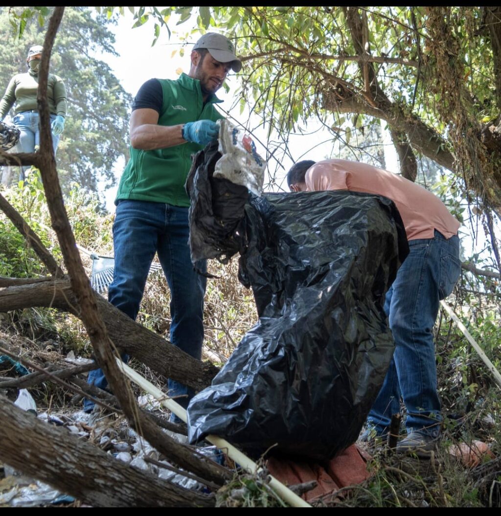 partido verde Edoméx