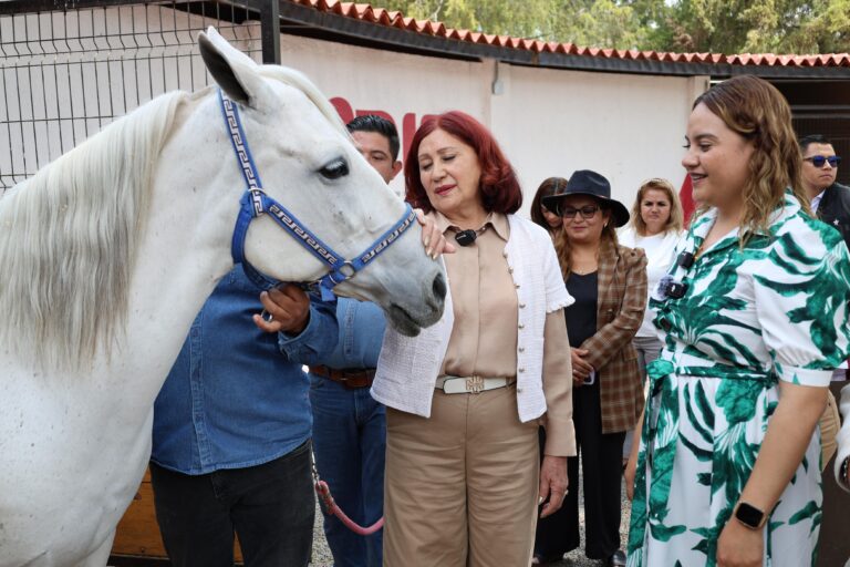 cuidado animal en Tecámac