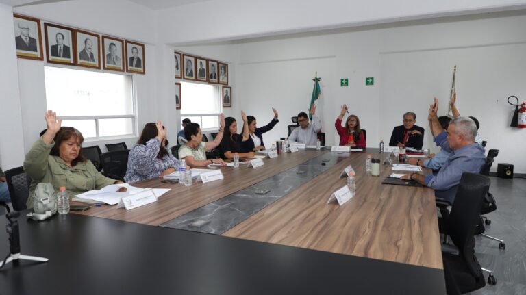 Cuautitlán Cabildo adolecente