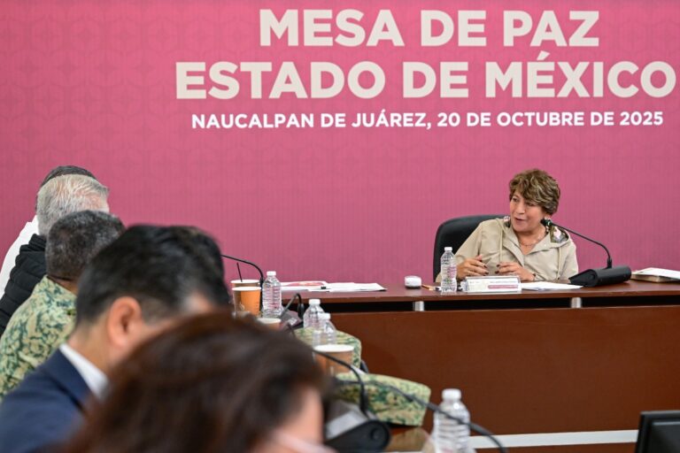 seguridad Edoméx