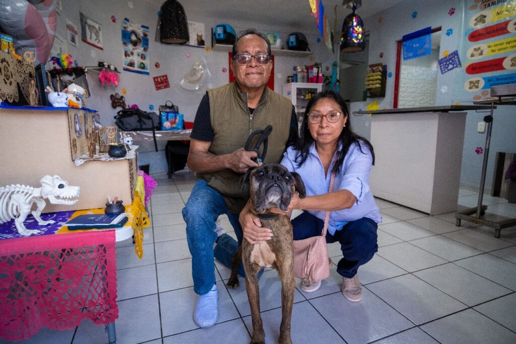 WhatsApp Image 2025-10-30 at 2.00.15 PM