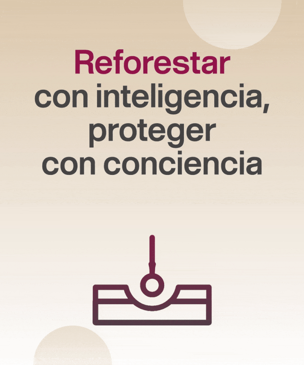 GIF_V3_1000x1200_PX_Lite