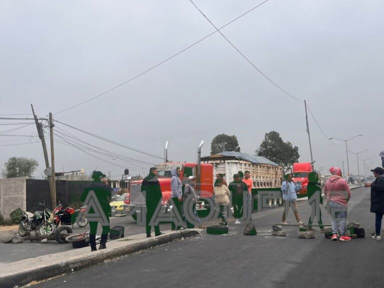 WhatsApp Image 2025-11-05 at 12.24.44 PM