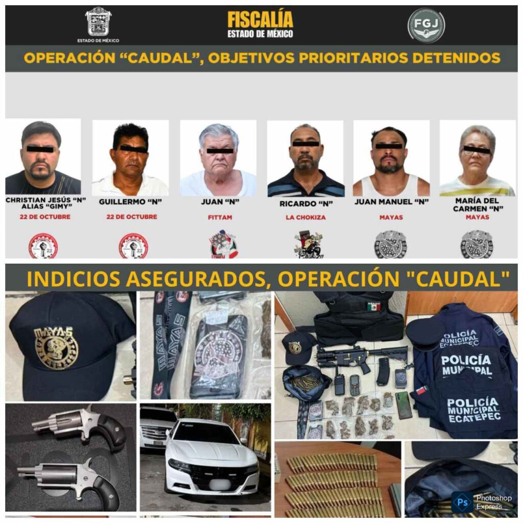 WhatsApp Image 2025-11-25 at 1.17.19 PM