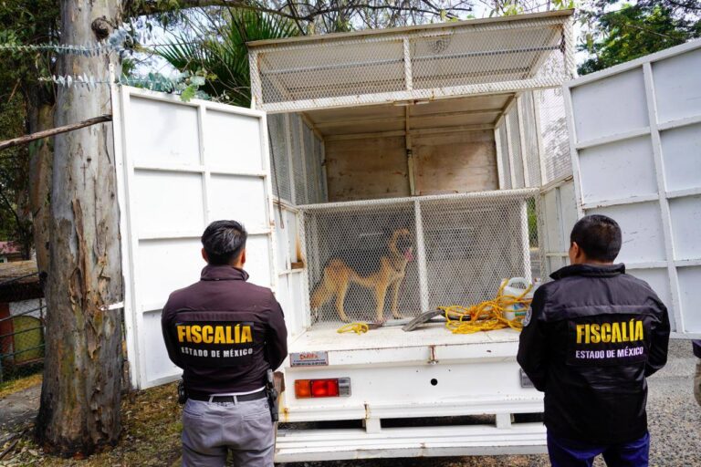 597573530_1463121595813749_7306072027629021213_n