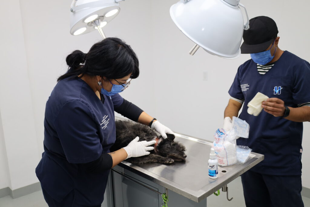 Huixquilucan Romina Contreras C-309-2025 (1)