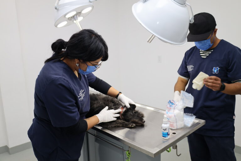 Huixquilucan Romina Contreras C-309-2025 (1)