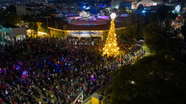 WhatsApp Image 2025-12-02 at 1.35.45 PM