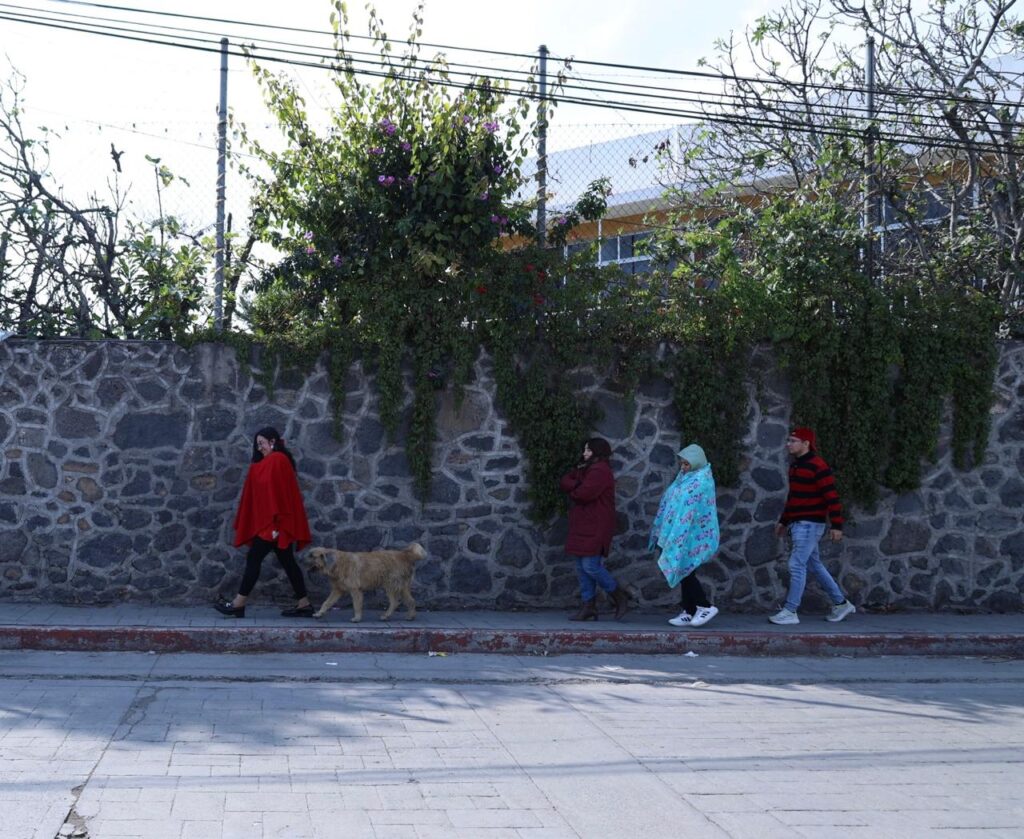 WhatsApp Image 2025-12-18 at 2.51.37 PM