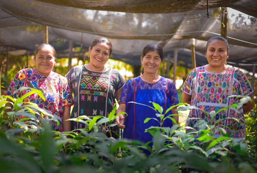 8245deae-eb97-4bb0-9da0-67606597020b