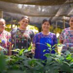 8245deae-eb97-4bb0-9da0-67606597020b