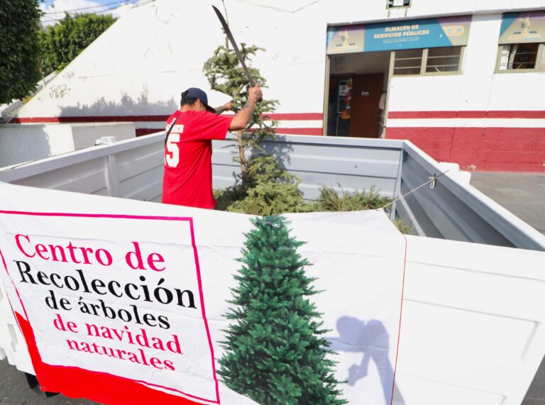 Gobierno de Nezahualcóyotl instala centros de acopio para reciclar árboles de Navidad