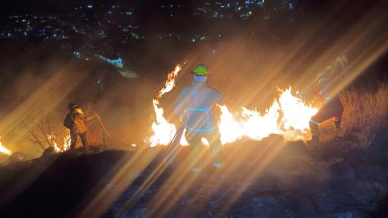 WhatsApp Image 2026-01-09 at 2.29.19 PM